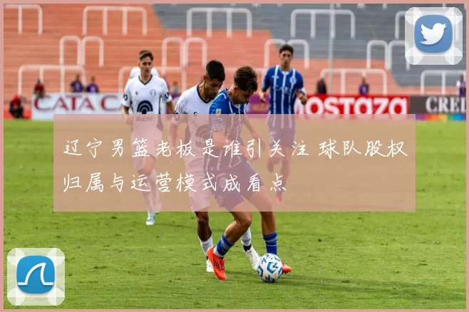 辽宁男篮老板是谁引关注 球队股权归属与运营模式成看点