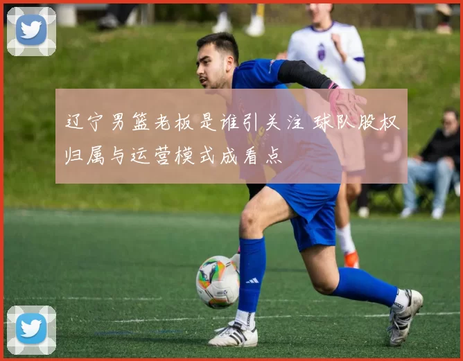 辽宁男篮老板是谁引关注 球队股权归属与运营模式成看点