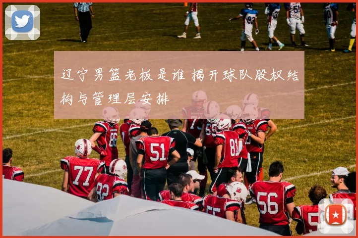 辽宁男篮老板是谁 揭开球队股权结构与管理层安排